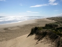 whangarei (51)